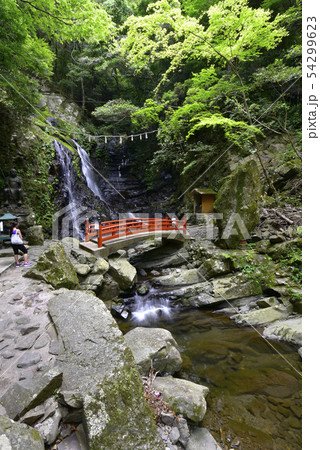 犬鳴山七宝瀧寺　行者の滝（大阪府泉佐野市） 54299623
