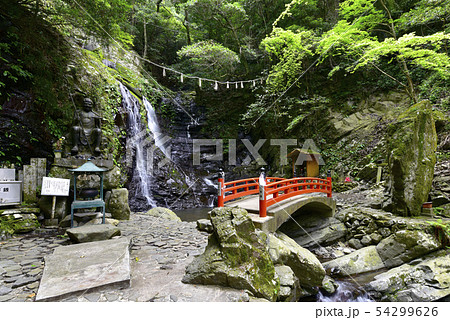犬鳴山七宝瀧寺 行者の滝(大阪府泉佐野市) 犬鳴山七宝瀧寺 行者の滝(大阪府泉佐野市) 54299626