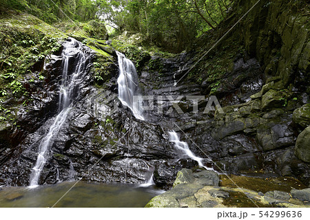 犬鳴山七宝瀧寺 行者の滝(大阪府泉佐野市) 犬鳴山七宝瀧寺 行者の滝(大阪府泉佐野市) 54299636
