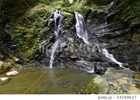 犬鳴山七宝瀧寺　行者の滝（大阪府泉佐野市） 54299637