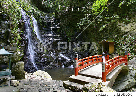 犬鳴山七宝瀧寺 行者の滝(大阪府泉佐野市) 犬鳴山七宝瀧寺 行者の滝(大阪府泉佐野市) 54299650