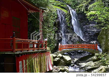 犬鳴山七宝瀧寺　行者の滝（大阪府泉佐野市） 54299657