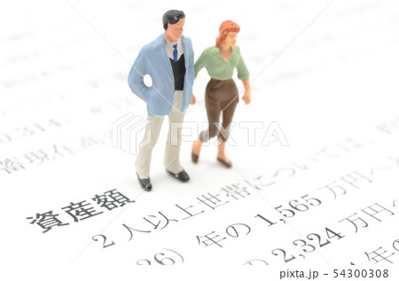 資産額 資産額 54300308