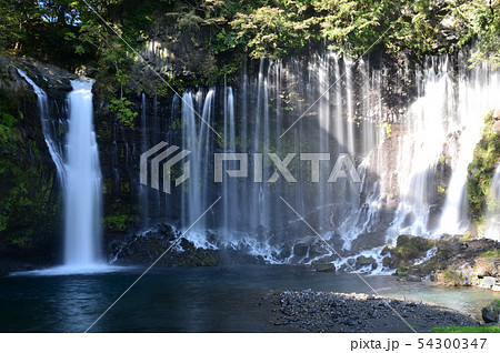白糸の滝  静岡県 54300347