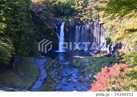 白糸の滝  静岡県 54300352