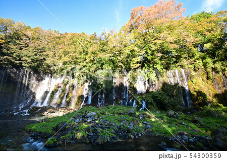 白糸の滝 静岡県 白糸の滝 静岡県 54300359