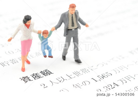 資産額 54300506