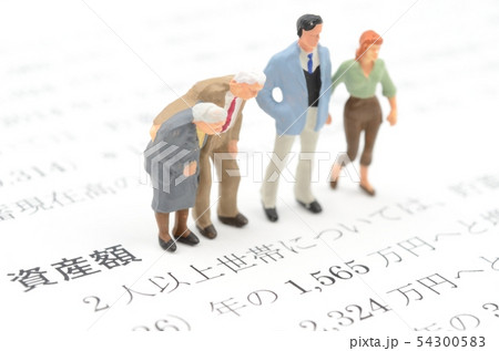 資産額 資産額 54300583