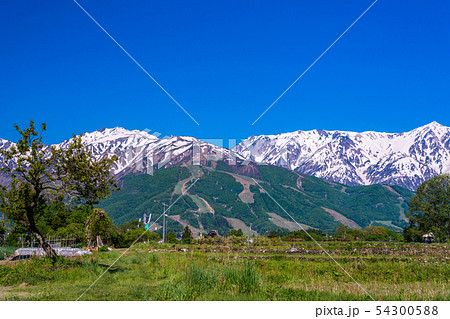 （長野県）八方尾根スキー場と白馬連峰 54300588