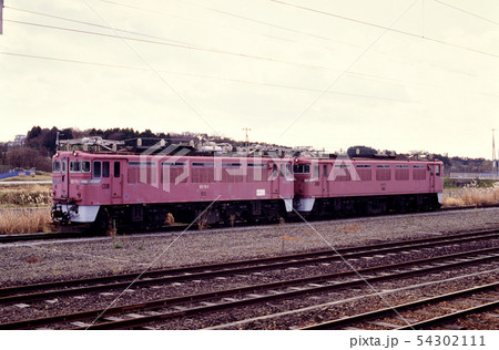 1995年 利府駅構内に留置のED751とED771 1995年 利府駅構内に留置のED751とED771 54302111