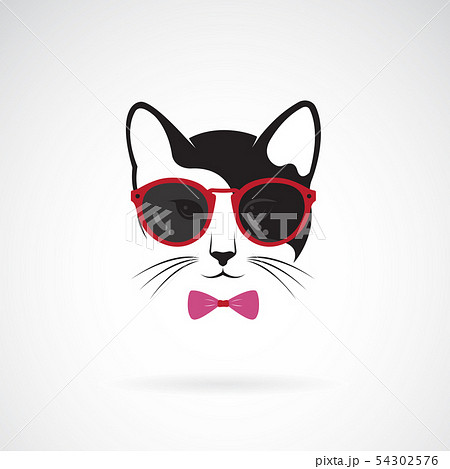 Vector Of Cats Wear Sunglasses Animal Pet のイラスト素材