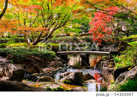 大田黒公園 紅葉の写真素材