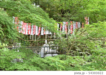 可睡斎 酒塚観音 袋井市 可睡斎 酒塚観音 袋井市 54303022