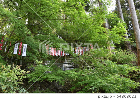 可睡斎 酒塚観音 袋井市 可睡斎 酒塚観音 袋井市 54303023