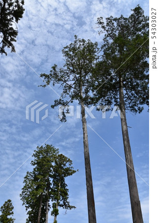 可睡斎　袋井市 54303027
