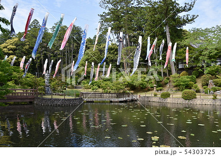 可睡斎　鯉のぼり　袋井市 54303725