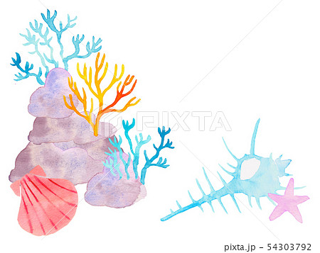 珊瑚と貝のイラスト素材