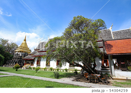 ワット・チェン・マン 54304259
