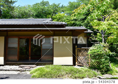 初夏の嚶鳴庵 54304378