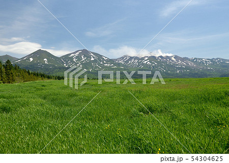 白金模範牧場 54304625