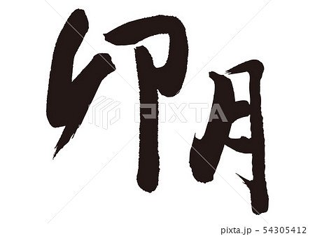 卯月　筆文字 54305412