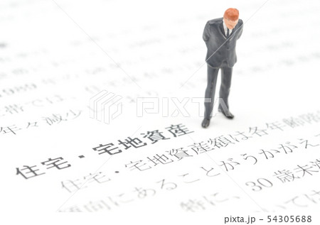 住宅・宅地資産 54305688