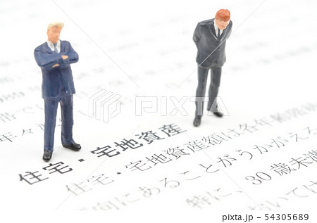 住宅・宅地資産 54305689