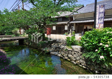 滋賀県米原市：醒井宿の風景（6月） 54305738