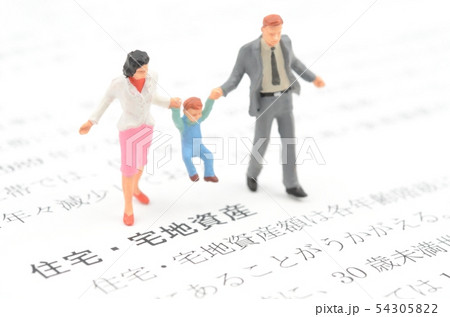 住宅・宅地資産 54305822