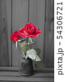 バラ 54306721