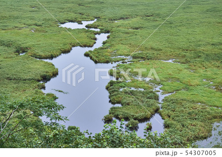 北海道　コッタロ湿原展望台からの景色 54307005