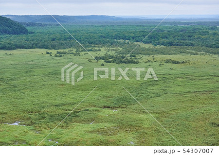 北海道 コッタロ湿原展望台からの景色 北海道 コッタロ湿原展望台からの景色 54307007