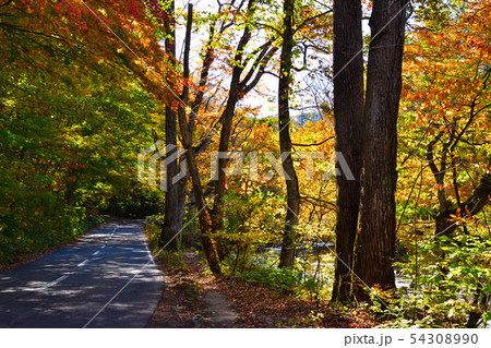 秋 国道102号線 秋 国道102号線 54308990