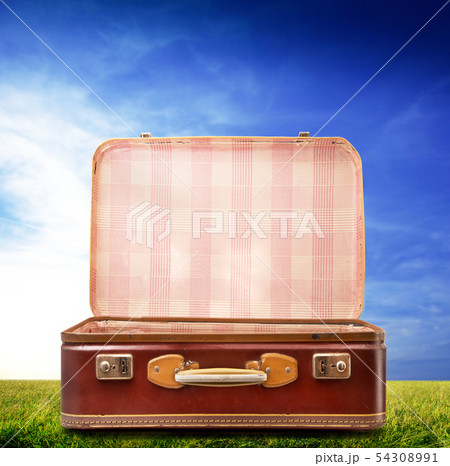 vintage suitcase on sky background 54308991