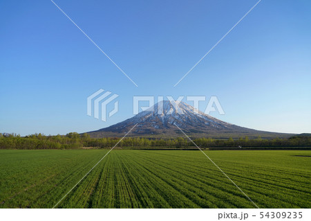 羊蹄山と畑 羊蹄山と畑 54309235