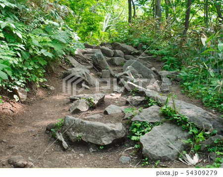 藻岩山 登山道 藻岩山 登山道 54309279