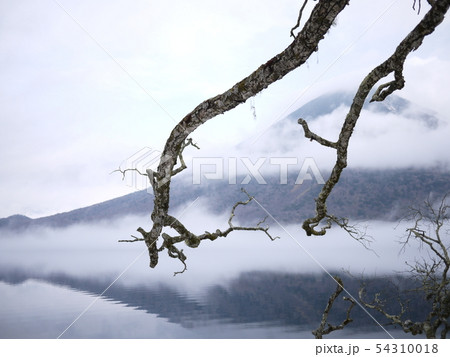 中禅寺湖 54310018