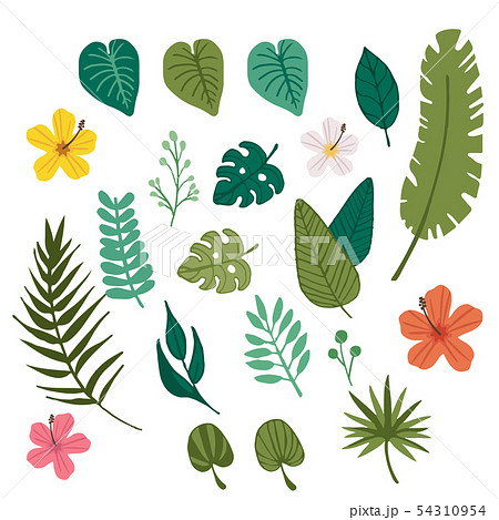Tropical flower and tropical leaf element 54310954