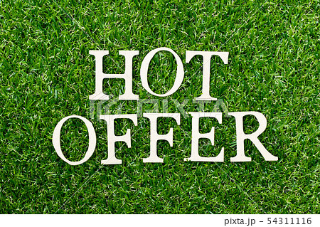 Wood alphabet letter in word hot offer on green gr 54311116