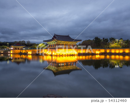 雁鴨池 レース 夜景 54312460