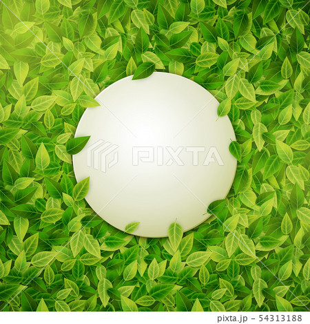 Round banner on green leaves background, vector Round banner on green leaves background, vector 54313188