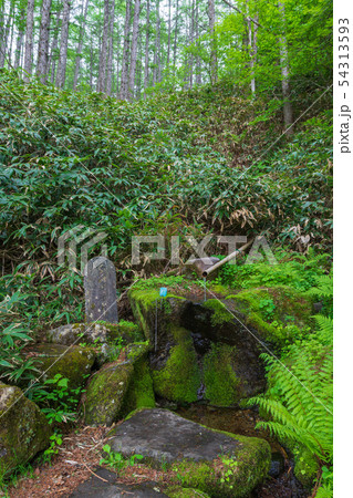 武石峠茶屋跡の女鳥羽川源流 武石峠茶屋跡の女鳥羽川源流 54313593