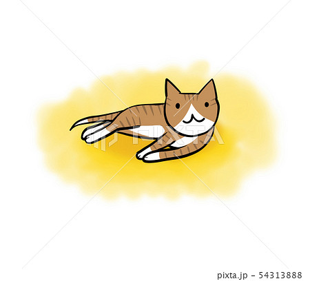 横たわる猫ちゃんのイラスト 黄色背景 のイラスト素材
