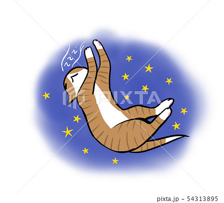 睡眠のねこちゃんのイラスト(星・zzz・紫背景) 睡眠のねこちゃんのイラスト(星・zzz・紫背景) 54313895
