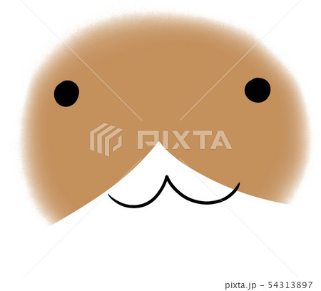 顔アップの猫ちゃんのイラスト（接近） 54313897