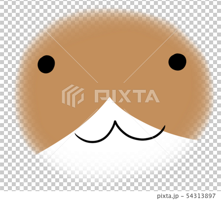 顔アップの猫ちゃんのイラスト（接近） 54313897