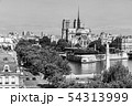 Notre Dame de Paris Cathedral on the Cite Island 54313999
