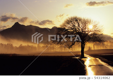 動き出す朝 54314062