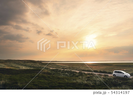Traveling on road through moss dunes at sunrise 54314197