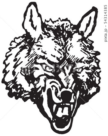Wolf 54314385